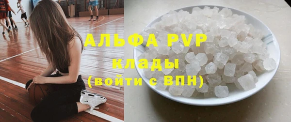 сатива Гусиноозёрск