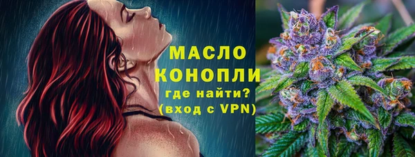 СК Алексин