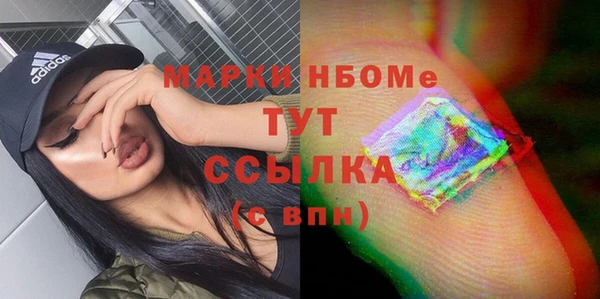 СК Алексин