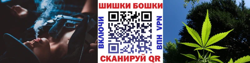 Канабис сатива  Жирновск 